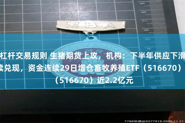 杠杆交易规则 生猪期货上攻，机构：下半年供应下滑逻辑将持续兑现，资金连续29日增仓畜牧养殖ETF（516670）近2.2亿元