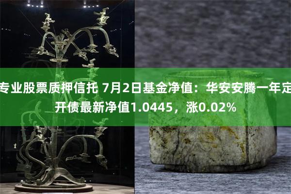 专业股票质押信托 7月2日基金净值：华安安腾一年定开债最新净值1.0445，涨0.02%