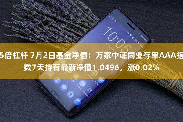 5倍杠杆 7月2日基金净值：万家中证同业存单AAA指数7天持有最新净值1.0496，涨0.02%