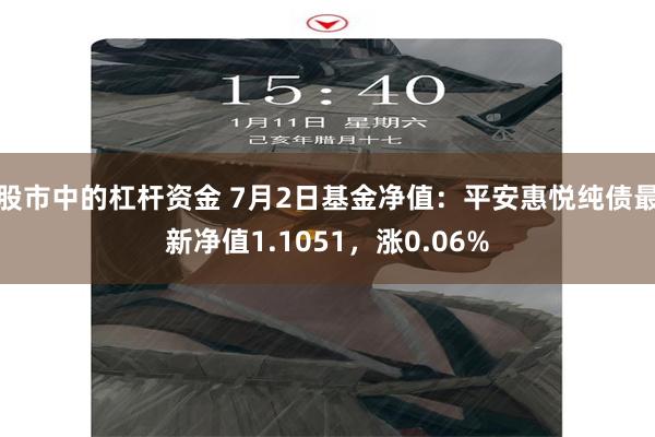 股市中的杠杆资金 7月2日基金净值：平安惠悦纯债最新净值1.1051，涨0.06%