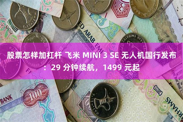 股票怎样加杠杆 飞米 MINI 3 SE 无人机国行发布：29 分钟续航，1499 元起