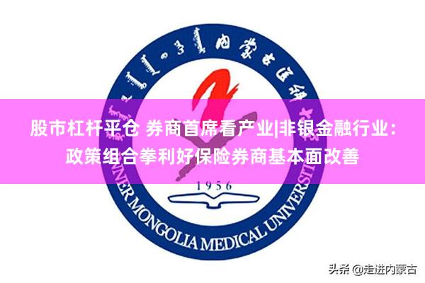 股市杠杆平仓 券商首席看产业|非银金融行业：政策组合拳利好保险券商基本面改善