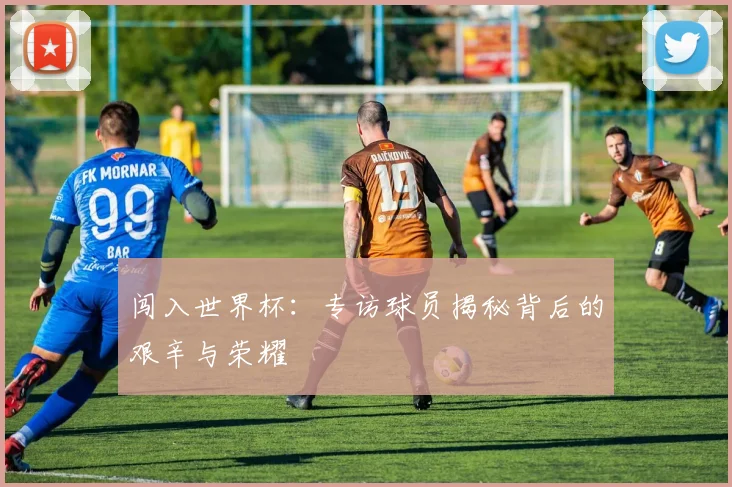 闯入世界杯：专访球员揭秘背后的艰辛与荣耀
