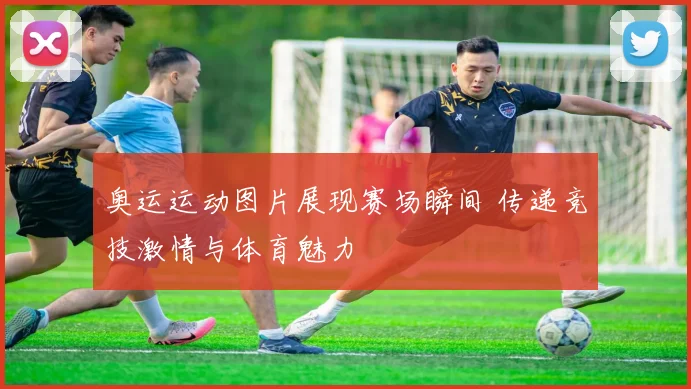 奥运运动图片展现赛场瞬间 传递竞技激情与体育魅力