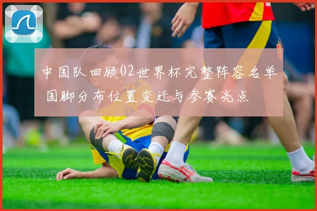 中国队回顾02世界杯完整阵容名单 国脚分布位置变迁与参赛亮点