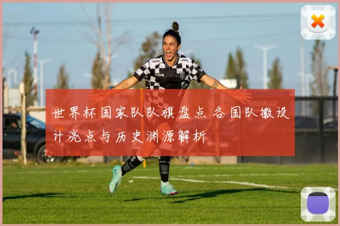 世界杯国家队队旗盘点 各国队徽设计亮点与历史渊源解析
